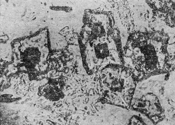 Рис. 13. Гибшитовая порода из окрестностей сел. Никорцминда. Октаэдры гибшита включают в себя ромбический додекаэдр кальциевого граната (темное). Основная масса - апофиллит. В нижней части снимка видны мелкие октаэдры гибшита. Снимок в световом микроскопе; увеличено в 40 раз