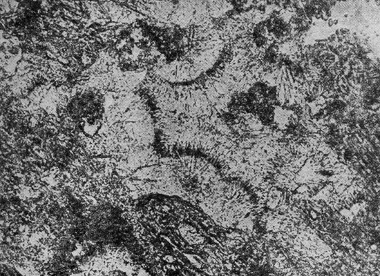 Рис. 16. Строение туфов в районе пос. Цихис-Убани, Грузия. Видно стекло, частично замещенное цеолитом, и выделение игольчатых цеолитов (клиноптилолита), выделившихся в пустотах между стекловатыми обломками. Снимок в световом микроскопе, увеличение 50 раз