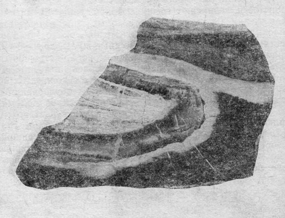 Рис. 26. Типичный образец асбестовой руды из месторождения Лайюань. Черное - неизмененный доломит; белая оторочка - мрамор; белое в центре - кремневый желвак; серое (в натуре светлое зеленовато-желтое) - офиокальцит. В офиокальците вокруг желвака видны две жилки асбеста