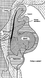 Схема строения Тагильского массива (по А. Н. Заварицкому, 1928)