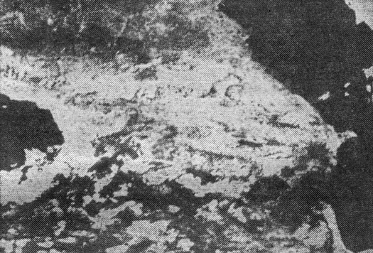 Рис. 26. Панорама Кавказа, полученная со спутника серии 'Метеор' 21 августа 1974 г.
