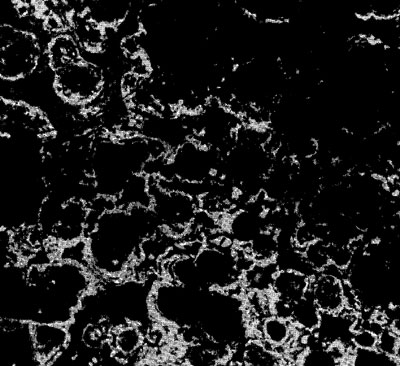 Рис. 46. Микрофотография полированной поверхности участка слоя конкреции, показанной на рис. 45. Видны сферические с характерной концентрической полосчатостью образования окислов марганца - железа, развитые среди мелких обломочных зерен (увеличено в 55 раз).