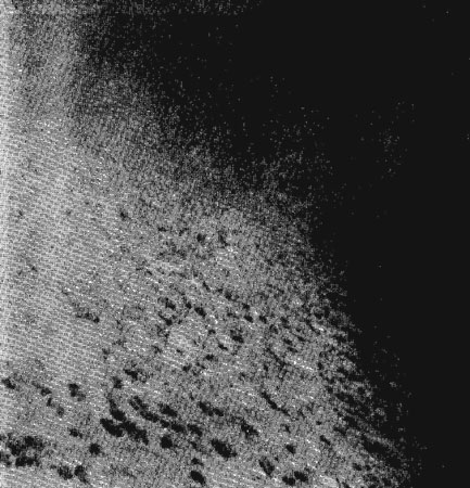 Рис. 53. Перспективная фотография океанского дна (10°25' с. ш., 130°35'з. д., глубина 4712 м). Диаметр конкреций 3-10 см. Конкреции лежат на глинистых радиоляриевых илах, в зоне разлома Клиппертон, Тихий океан (фото К. Шипека, Лаборатория электроники ВМФ США, Сан-Диего, Калифорния). 