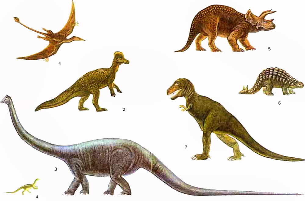Некоторые представители группы динозавров: 1 - птерозавр; 2 - гадрозавр; 3 - диплодок; 4 - текодонт,  палеозойский предок динозавров;  5 - трицератопс; 6 - сколозавр; 7 - тиранозавр.