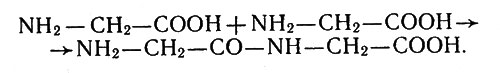 Дипептид - продукт конденсации двух молекул глицина