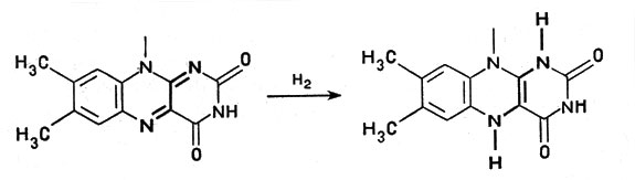 Рис. 3. Восстановление флавинадениндинуклеотида (показана флавиновая часть молекулы ФАД)