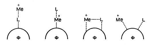 Рис. 4. Возможные сочетания белка (L), иона металла (М) и фермента (Ф)