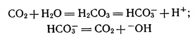 Карбонангидраза катализирует процессы гидратации диоксида углерода  и процессы дегидратации