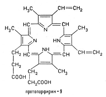 Ионы железа чаще всего встречаются в форме комплексных соединений с протопорфирином