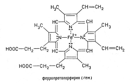 Ферропротопорфирин - называется гемом.  Гем входит в состав гемоглобина