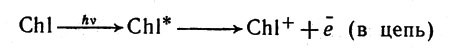В результате поглощения энергии света (квант hv) одна из молекул хлорофилла отдает богатый энергией (возбужденный) электрон веществу-переносчику, который обозначен на схеме буквой Q