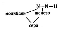Возникает связь азот - молибден и присоединяется электрон и протон