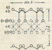 Рис. 341. Расположение и число ионов в отдельных листах решетки каолинита