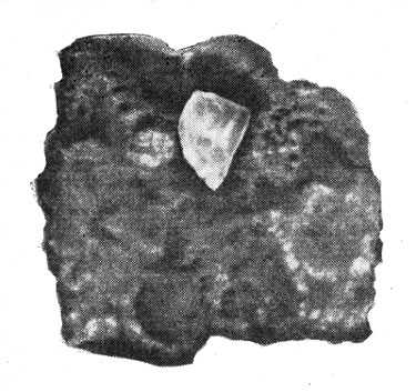 Кристалл санидина (лунного камня) в шлаковидном базальте. Вулкан Босгын-тогоо. Уменьшено в 2 раза