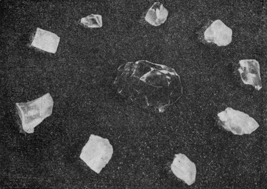Кристаллы санидина, дымчатого - в центре и белого - по окружности. Уменьшено в 2 раза