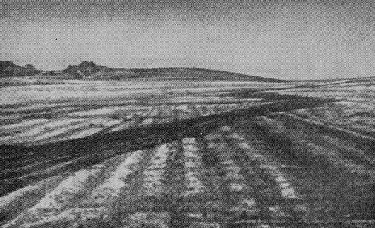 Общий вид Шаварын-царама. Фото О. И. Климберга. На заднем плане - плоская вершина с коренным источником пиропа