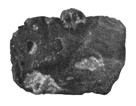 Вулканическая брекчия с округлым выделением пиропа (сбоку). Шаварын-царам. Уменьшено в 2 раза