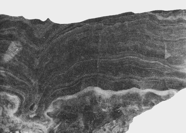 Мраморный оникс, хорошо видны слоистые натеки кальцита